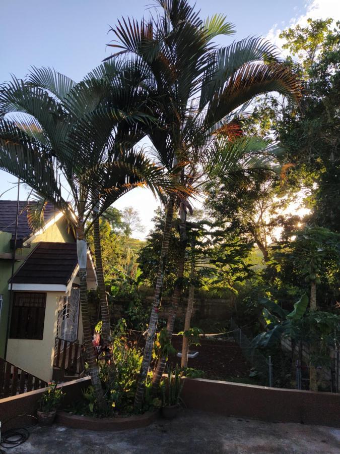 Gables Vacation Rentals With Private Gated Parking Onsite Knockpatrick Bagian luar foto