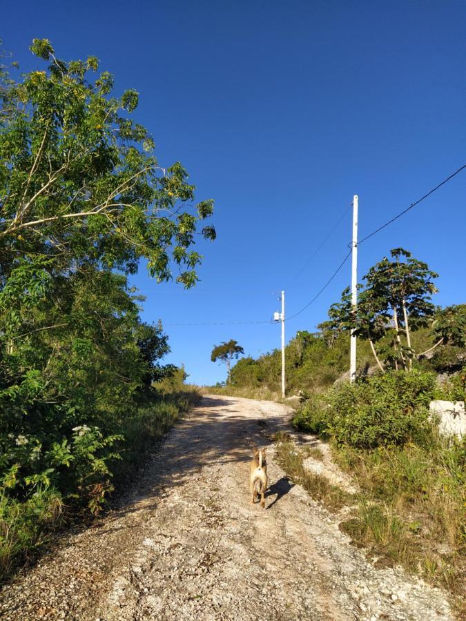 Gables Vacation Rentals With Private Gated Parking Onsite Knockpatrick Bagian luar foto