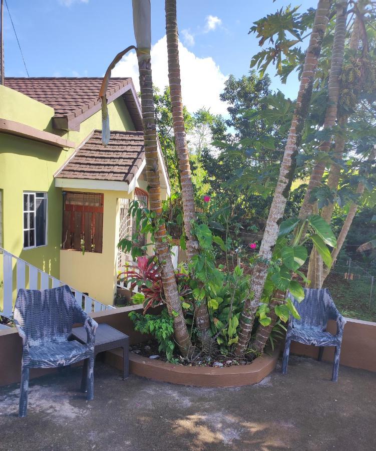 Gables Vacation Rentals With Private Gated Parking Onsite Knockpatrick Bagian luar foto